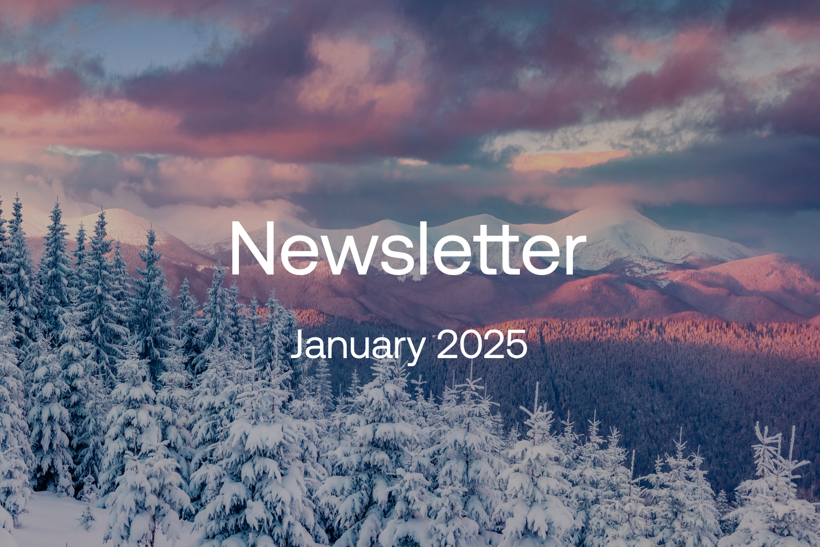 Jan-2025-newsletter-1620x1080.png