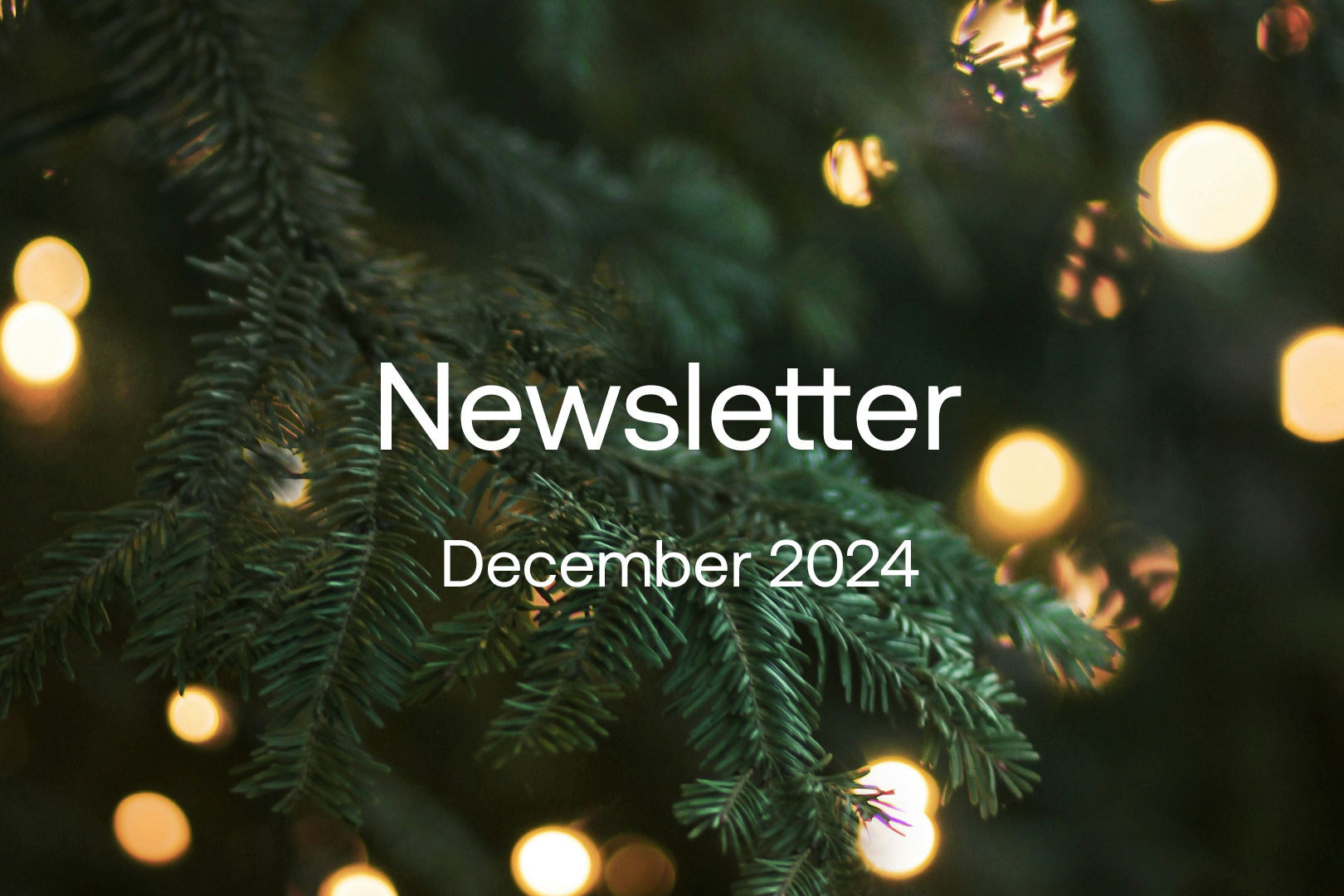 dec-2024-newsletter-1620x1080.png