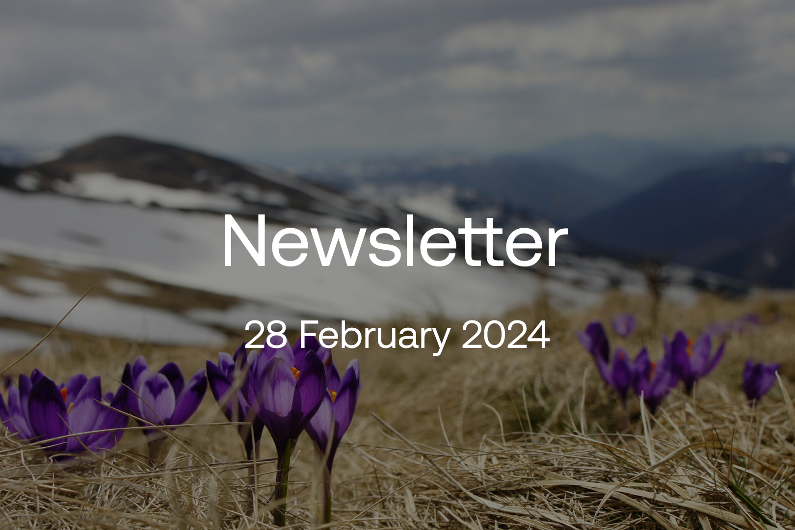 feb-2024-newsletter-1620x1080.png