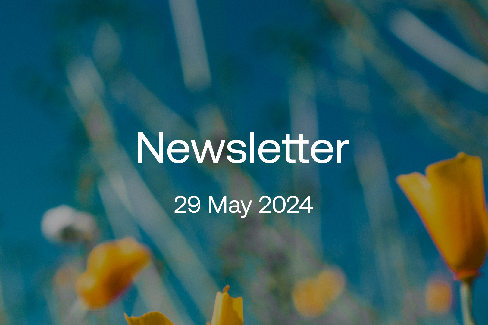 may-2024-newsletter-1620x1080.png