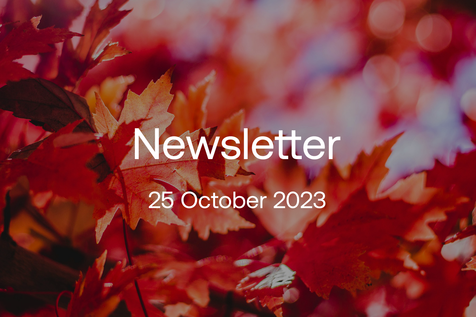 oct-2023-newsletter-1620x1080.png