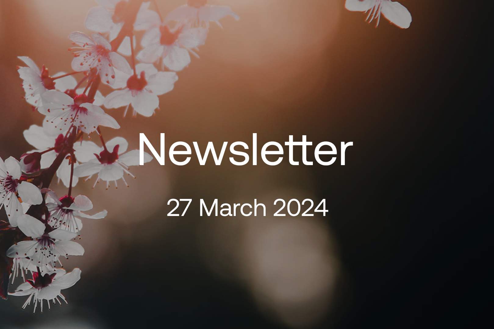 march-2024-newsletter-1620x1080.png